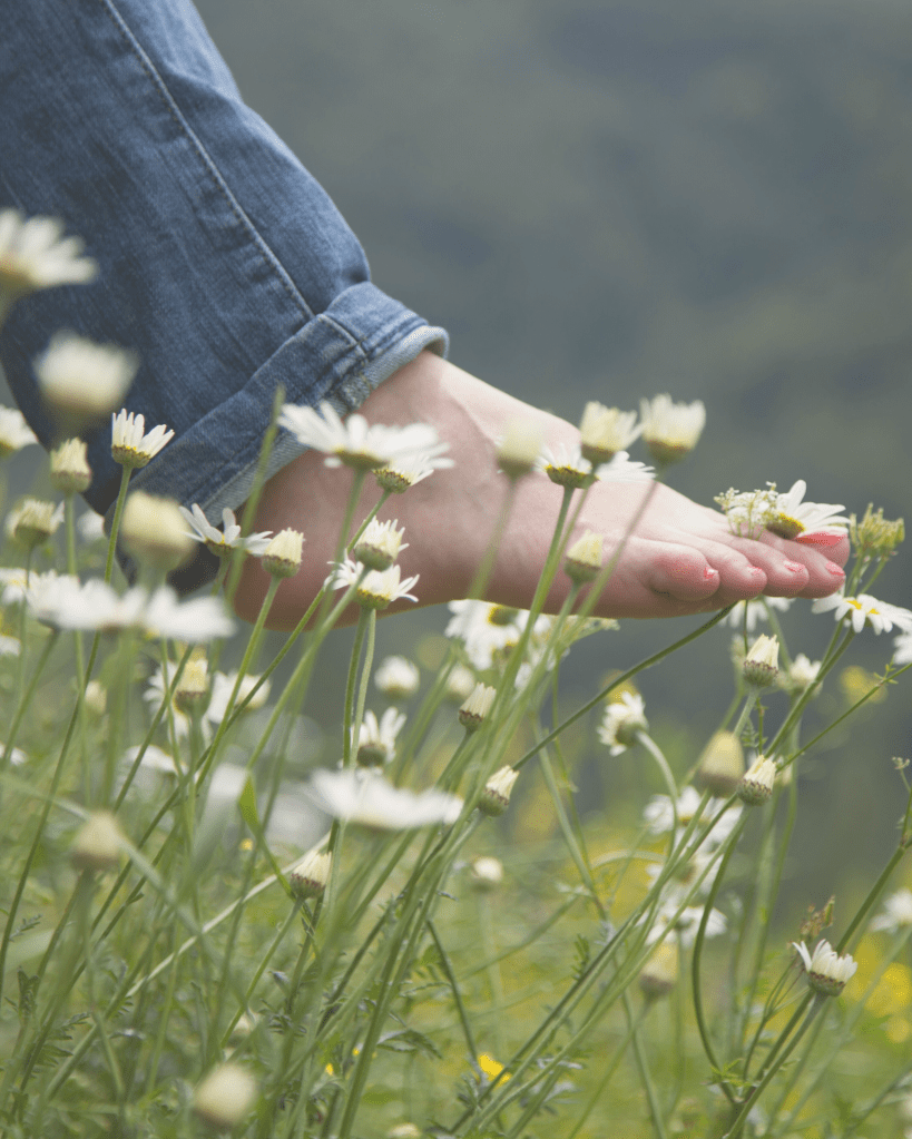 Bare feet connecting with the earth representing grounding and nervous system regulation.