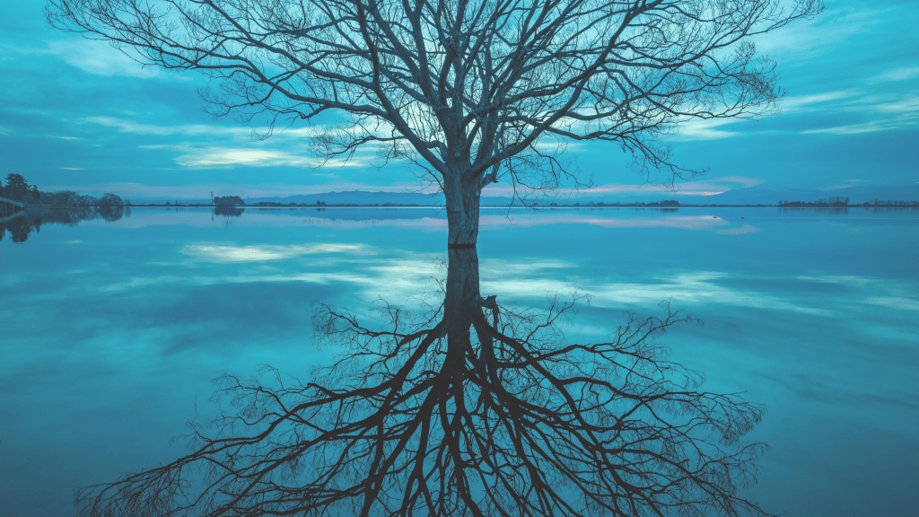 Mindfulness Made Gentle: Everyday Practices for Inner&nbsp;Calm