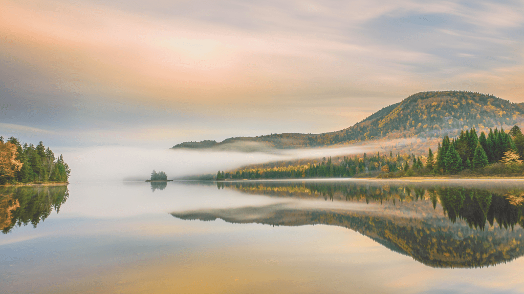 Integrating Mind, Body, and Spirit: A Holistic Approach to&nbsp;Wellness