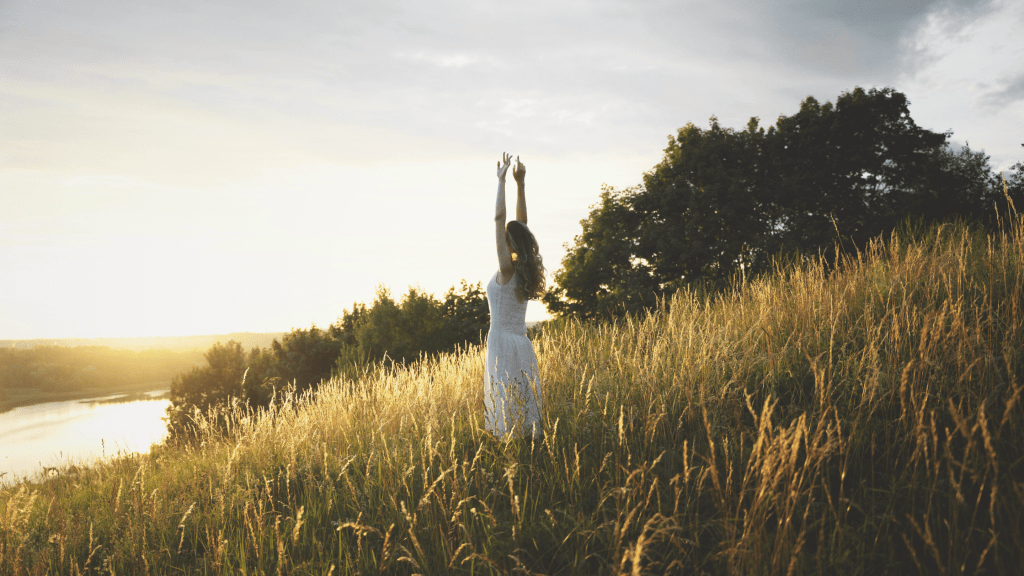 Rebuilding Your Life After Domestic Abuse: A Supportive Guide to Healing, Strength, and New&nbsp;Beginnings
