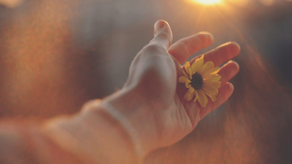 Empowerment and Healing: A Survivor’s&nbsp;Guide