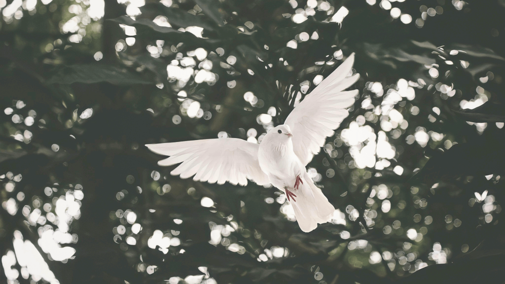 Setting and Achieving Personal Goals: A Gentle Blueprint for Lasting&nbsp;Growth