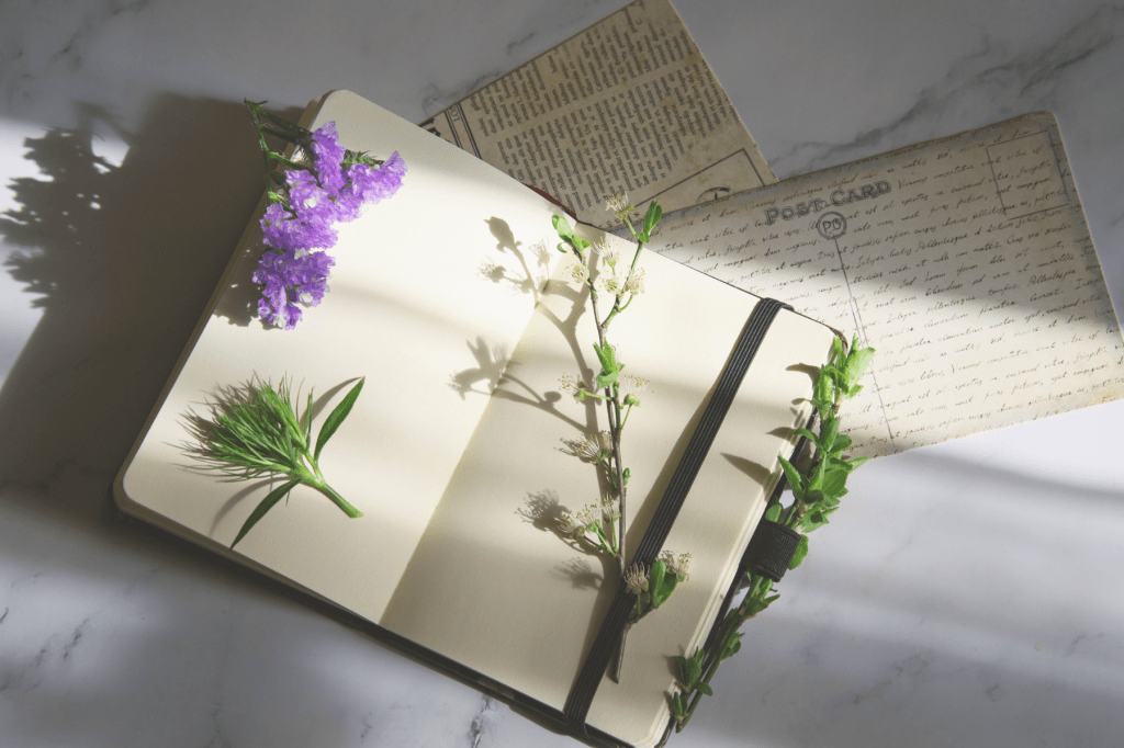 An open journal with flowers and vintage postcards in soft natural light, symbolising reflection, mindfulness, and the integration of personal growth.