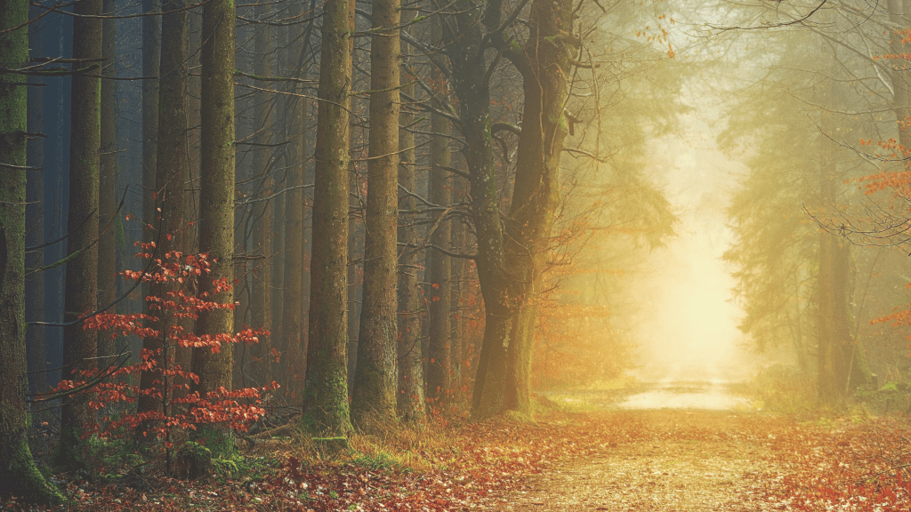 How to Seek Help and Support for Domestic Abuse: A Comprehensive&nbsp;Guide