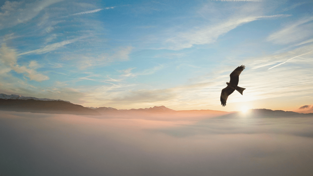 Personal Growth Workbook: A Step-by-Step Guide to Lifelong Self-Development