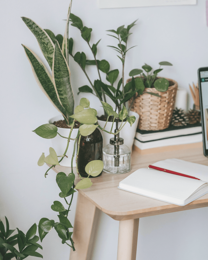 A calming workspace with houseplants, a notebook, and a red pen on a wooden desk, symbolising mindful focus, growth, and daily self-reflection.