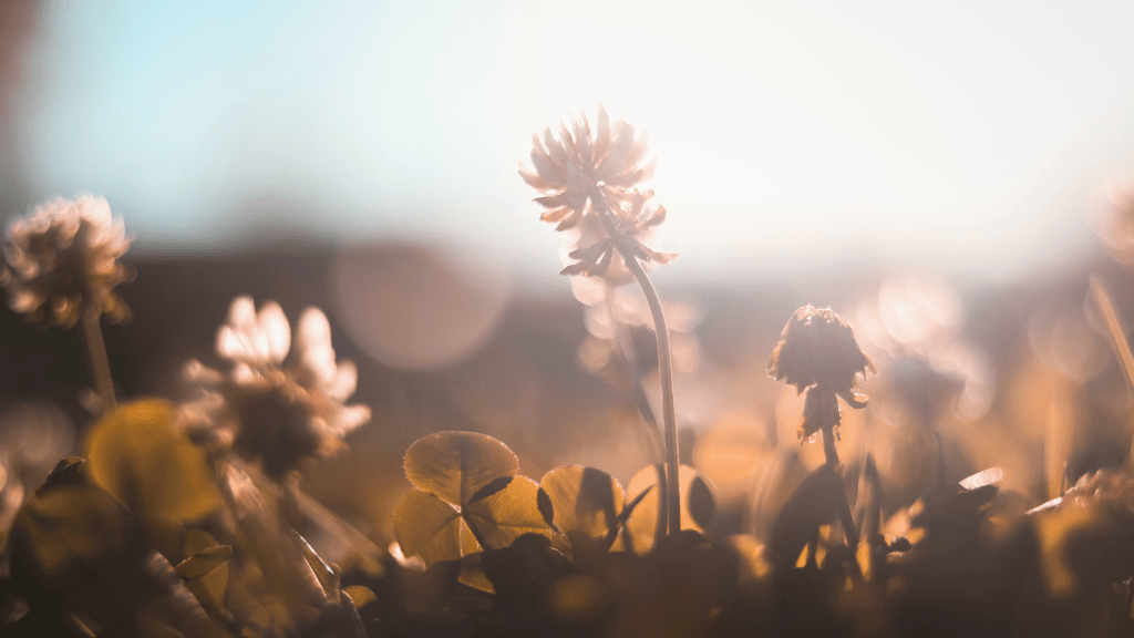 Unlock Your True Self: A Guide to&nbsp;Self-Discovery