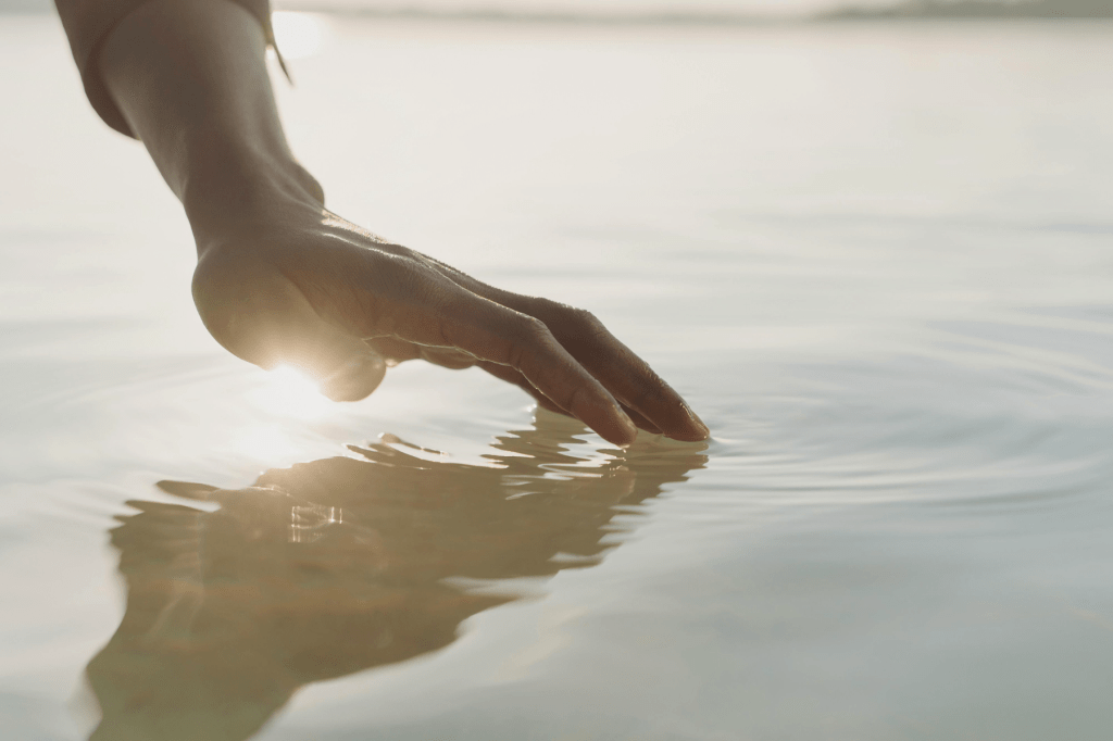 Hand resting on the surface of calm water in soft light, symbolising nervous system regulation and steadiness.