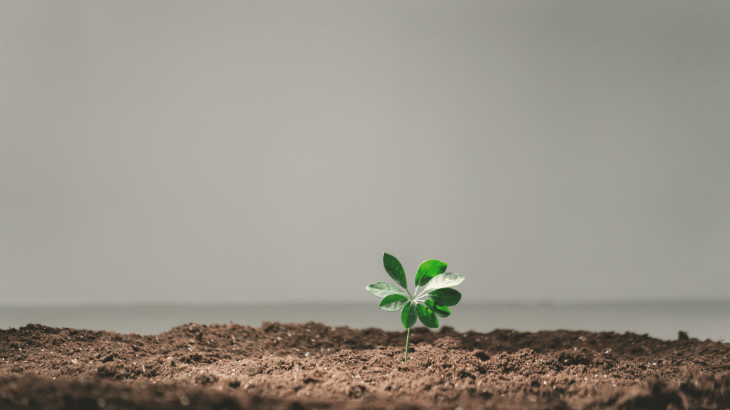 A Comprehensive Guide to Personal and Professional&nbsp;Growth