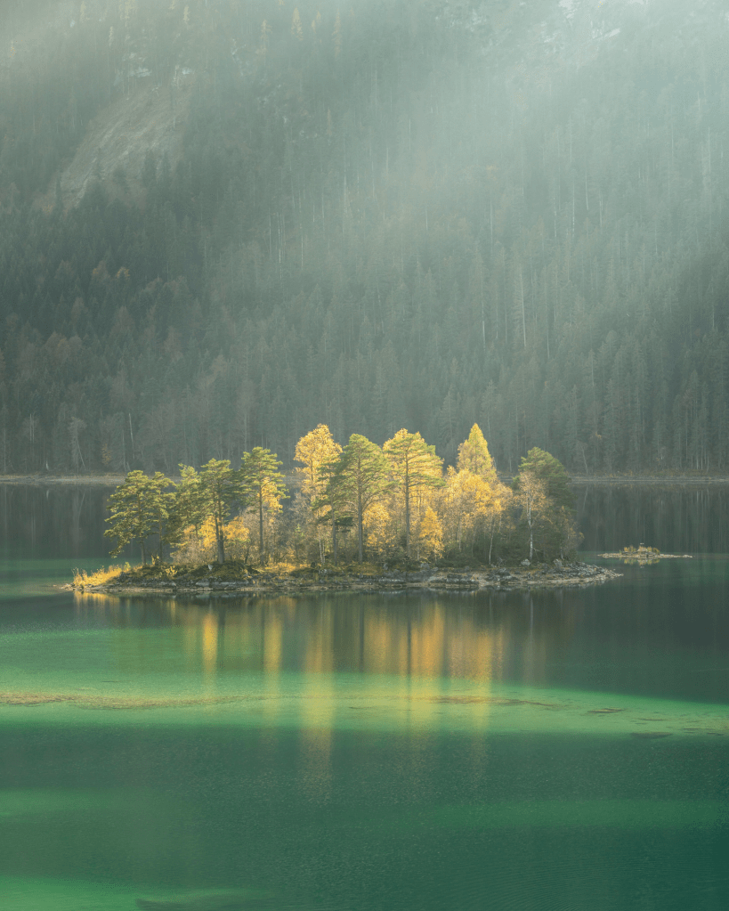 A small island of golden trees surrounded by calm emerald-green water, bathed in soft morning light.