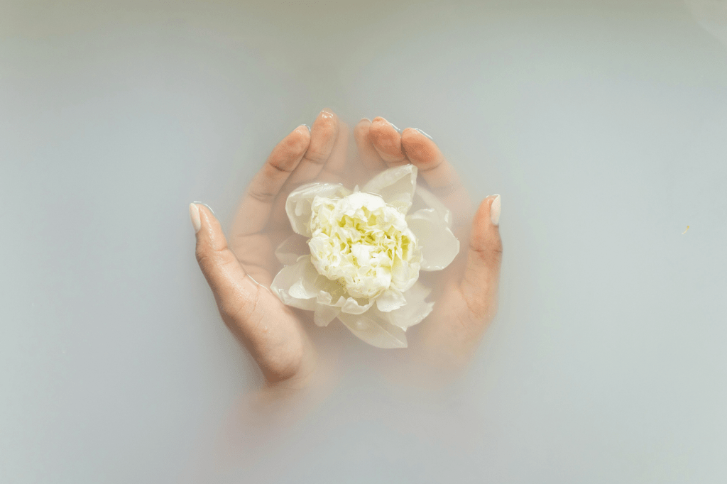 Hands gently holding a white flower in calming water, symbolising self-compassion, nervous system soothing, and the tenderness of trauma-informed healing.