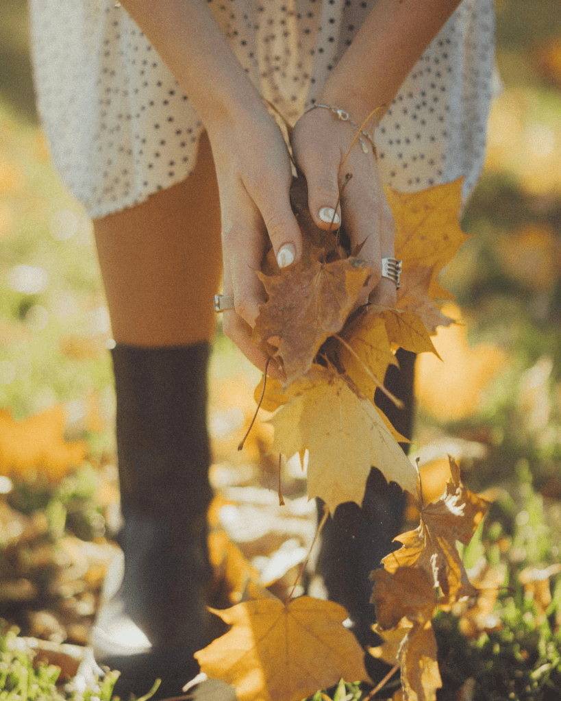 Hands gently holding autumn leaves, symbolising integration, embodiment, and gathering the parts of the self into wholeness.