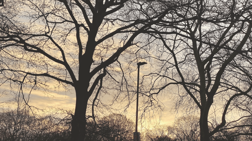 Regulation Is the Capacity to Return, Not to Stay&nbsp;Calm