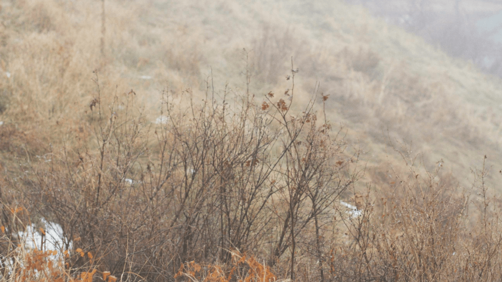 When Rest Does Not Feel&nbsp;Restorative