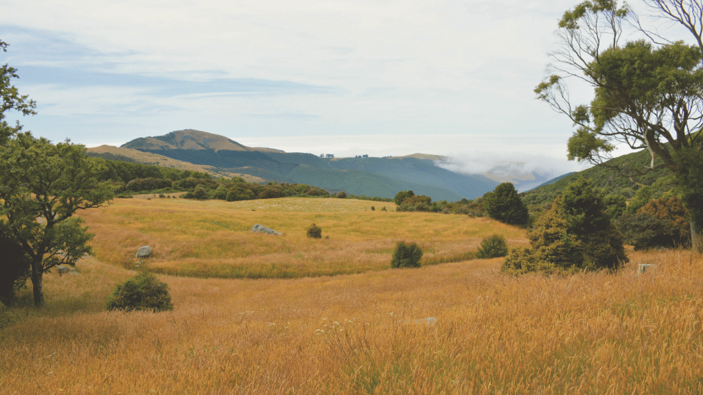 Healing Does Not Respond to&nbsp;Timelines