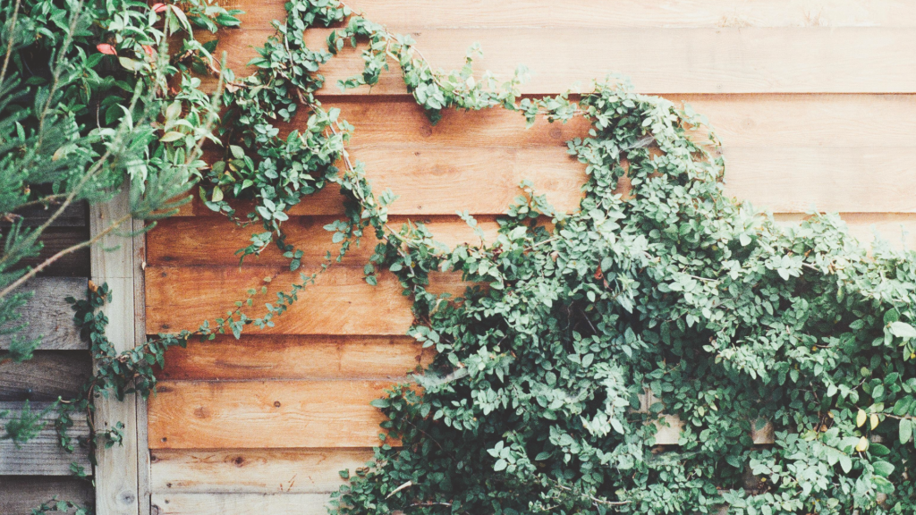 Why Safety Comes Before&nbsp;Insight