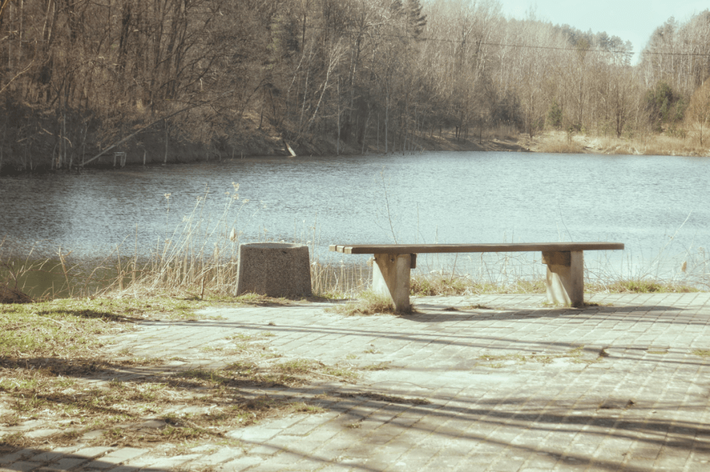 Empty bench beside a calm lake representing gradual recovery from hypervigilance after leaving an abusive relationship