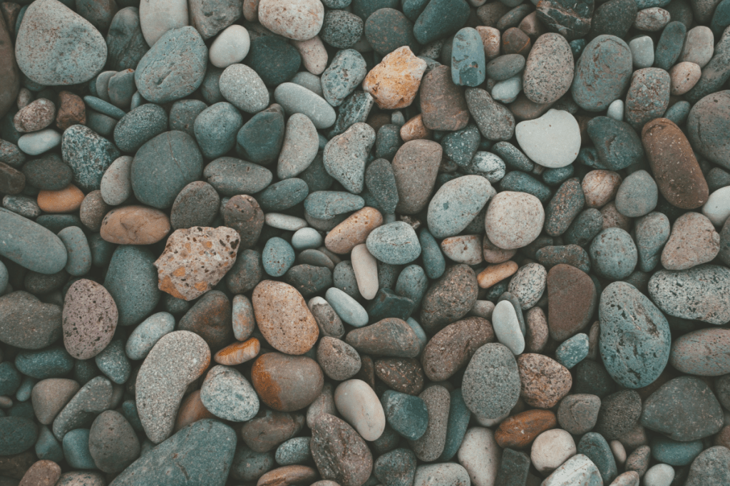 Close-up of smooth pebbles of different shapes and textures, representing diverse nervous system survival responses shaped by relational and emotional environments.