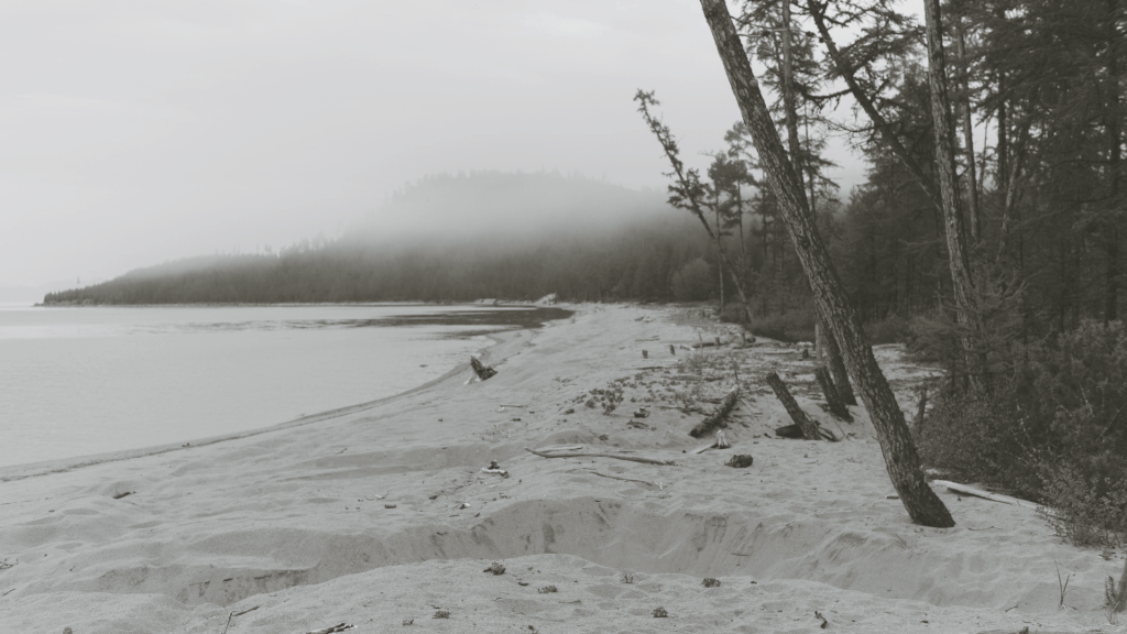 When the Crisis Is Over but the Body Is&nbsp;Not