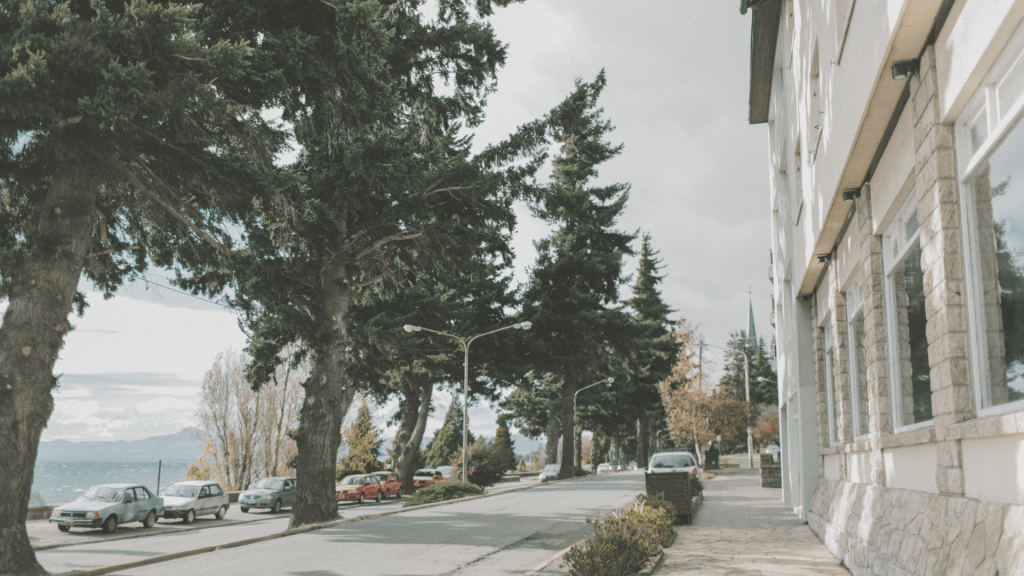 A quiet street under overcast skies, reflecting the heightened alertness many people experience when still in survival mode after emotional abuse.