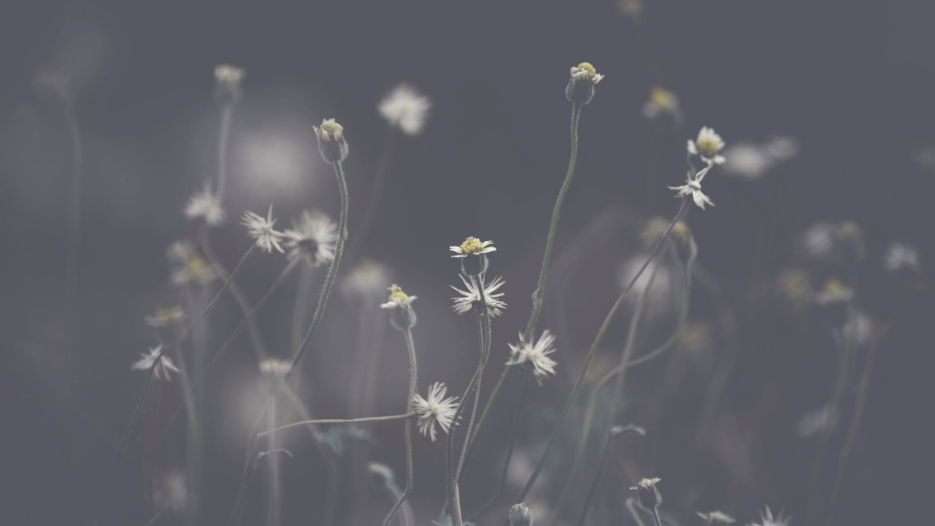 When Healing Becomes Too Much: Why the Nervous System Sometimes Needs&nbsp;Less