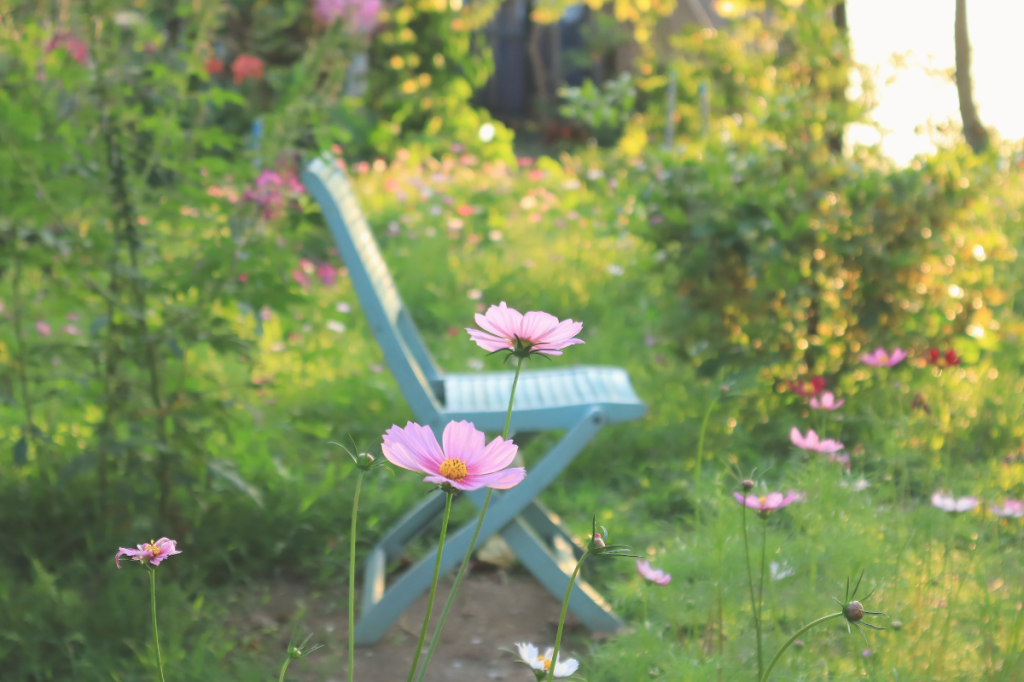 Empty chair in a tranquil garden setting, symbolising emotional safety, nervous system regulation, trauma recovery, self-trust and sustainable healing after chronic stress.