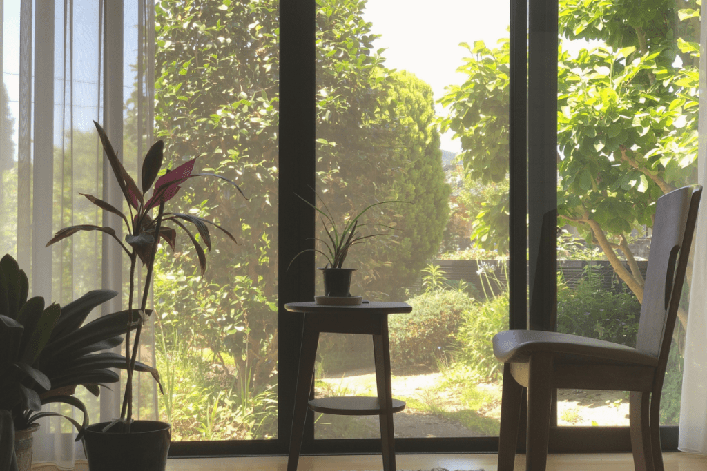 Sunlit room with a chair beside large windows overlooking a garden, symbolising nervous system integration, safety and healing beyond intellectual understanding of trauma.