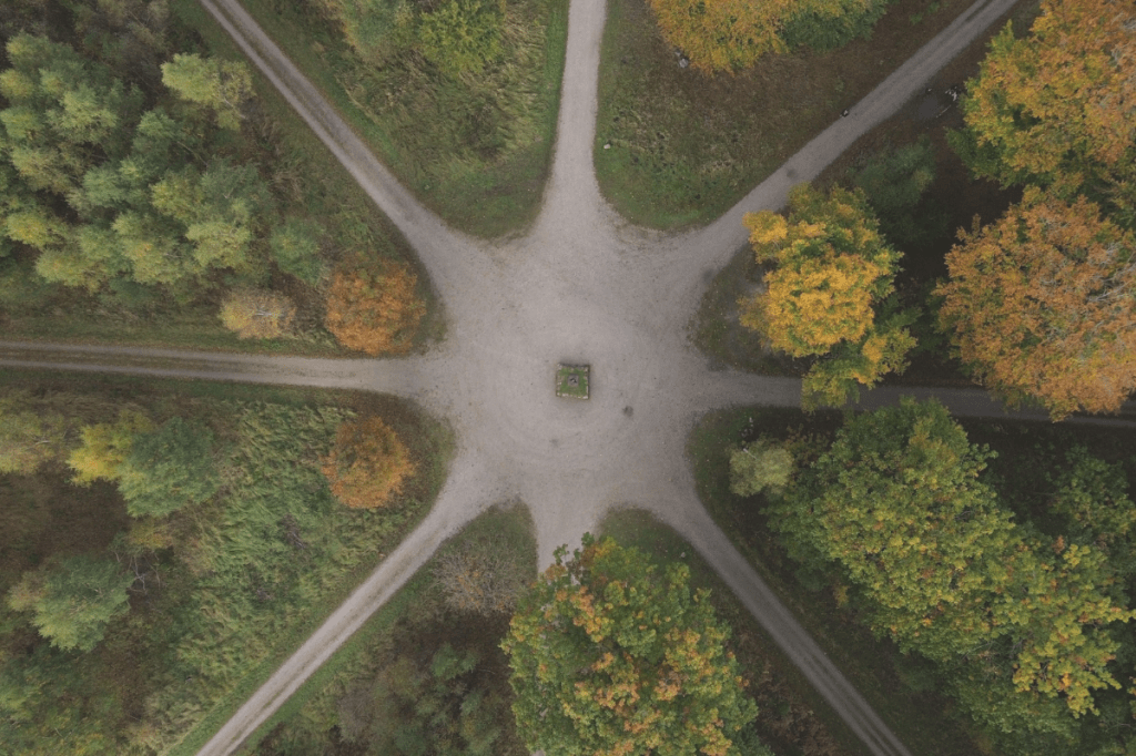 Aerial view of intersecting paths through a landscape, representing different possible directions within a human system.