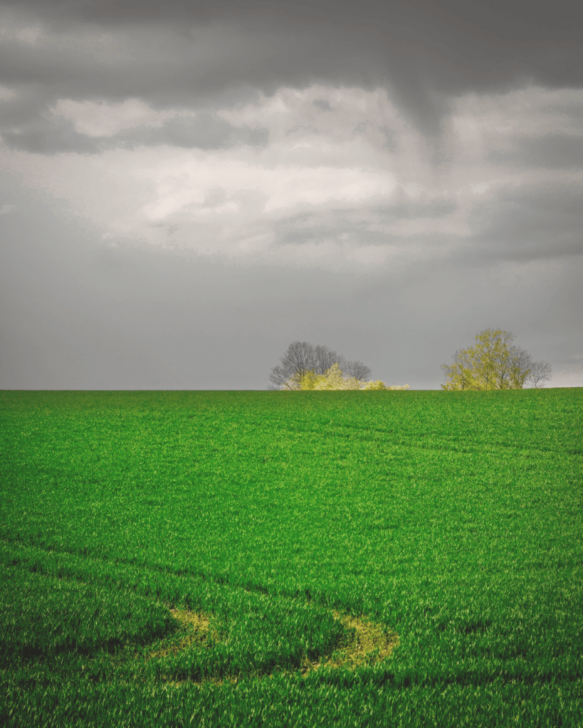 Dark storm clouds above a green landscape, representing temporary disruption and changing conditions.